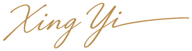 Xing Yi signature